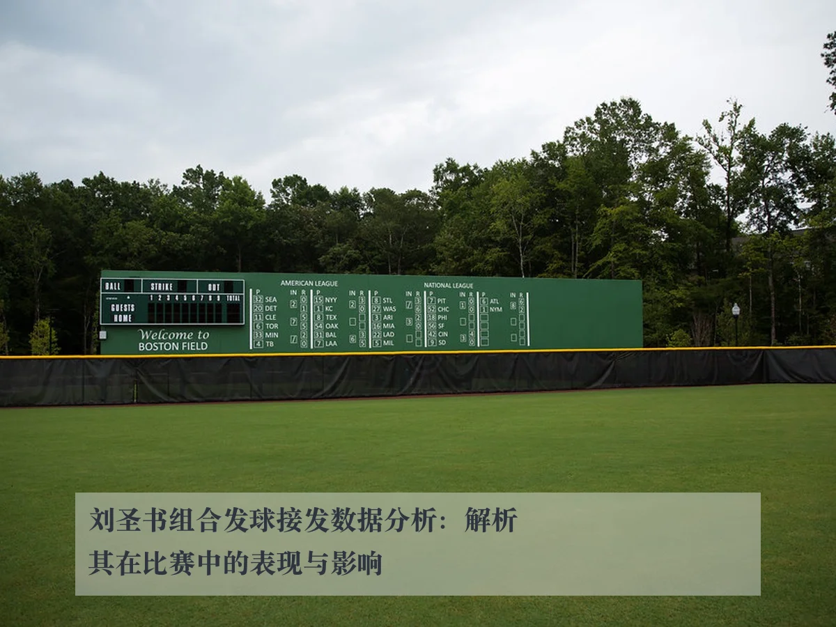 刘圣书组合发球接发数据分析：解析其在比赛中的表现与影响