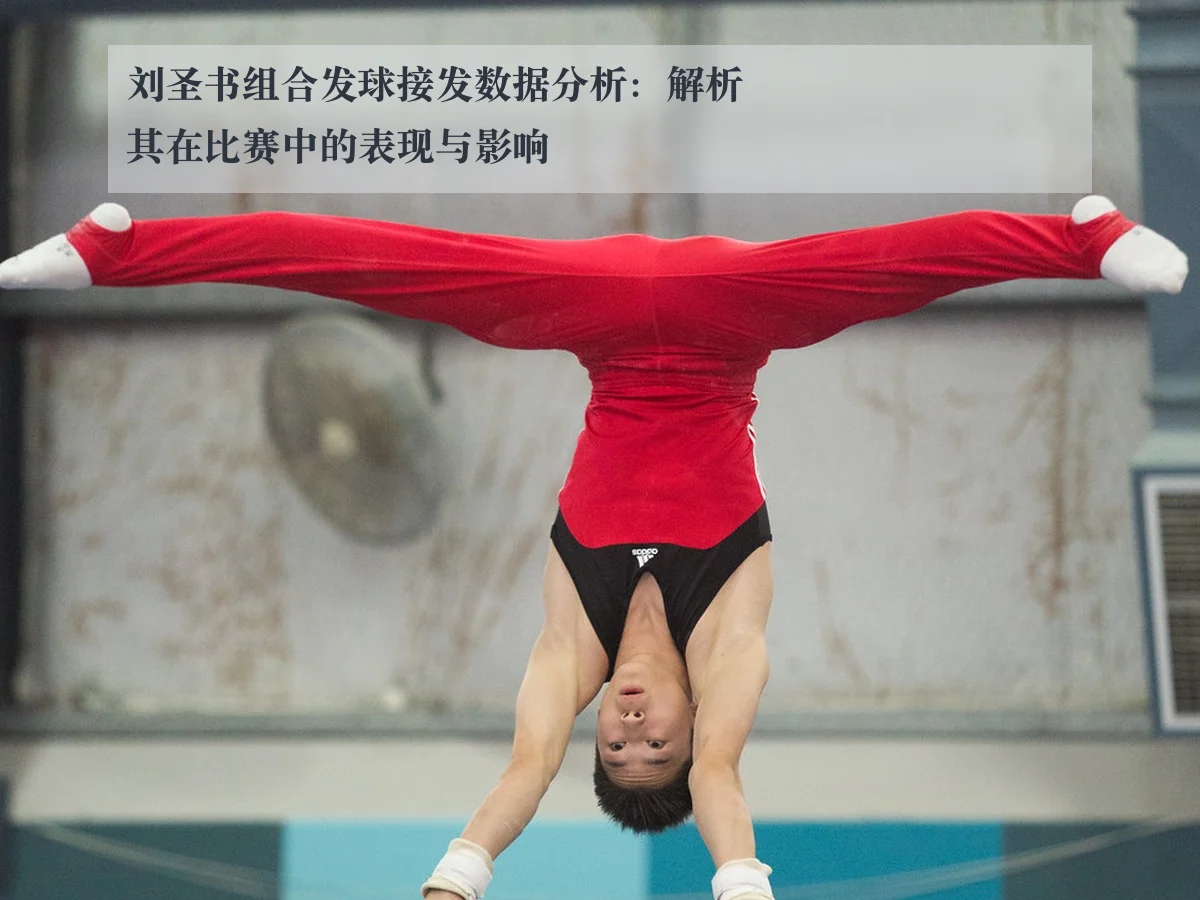 刘圣书组合发球接发数据分析：解析其在比赛中的表现与影响